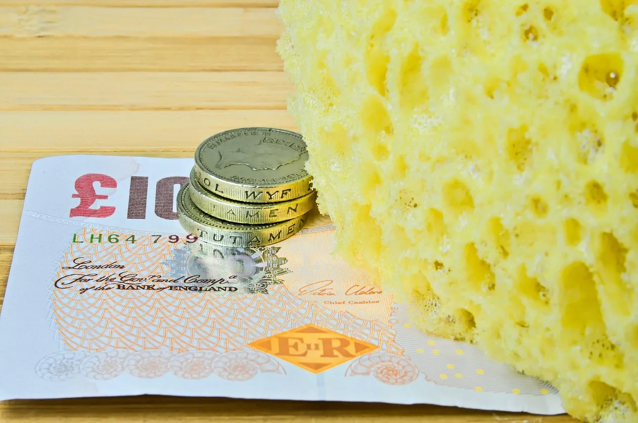 washing sponge, sponges, cleaning, washing, bathroom, coin, money making, bank note, washing cost. Capital for a laundromat: what it takes and where it comes from