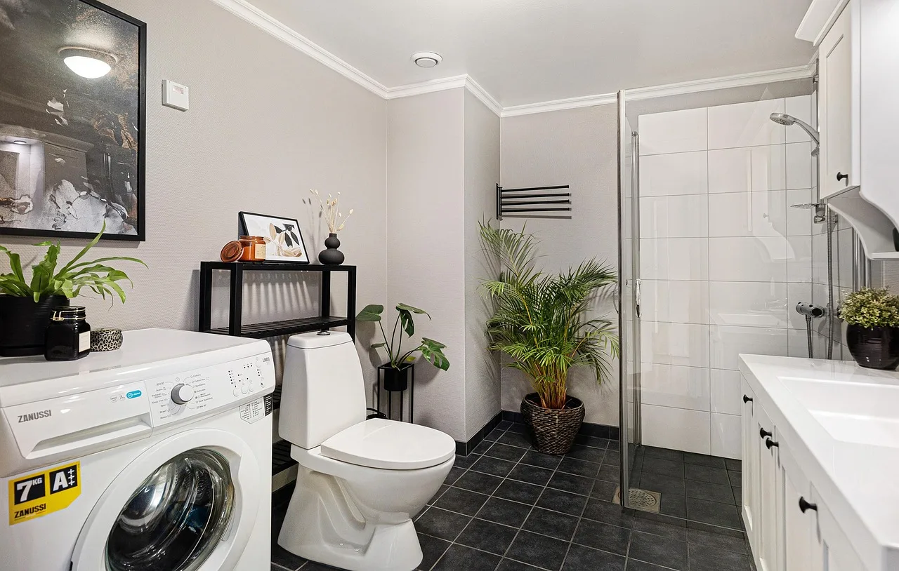 real estate, interior, bath room, toilet, shelf, sink, luxury, art, table, wood, chair, shampoo, shower, washing machine, mirror, towel, decor, nature, cabinet, plant, carpet. Laundromat Washer Maintenance in Los Angeles